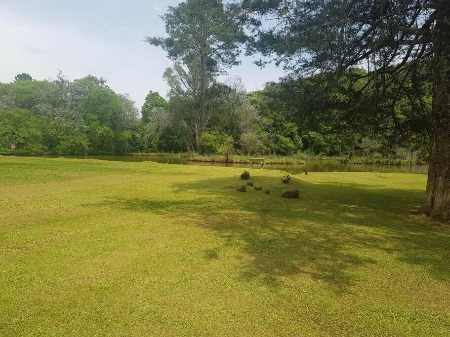 Casa De Campo Em Chacara - Santa Felicidade * Curitiba